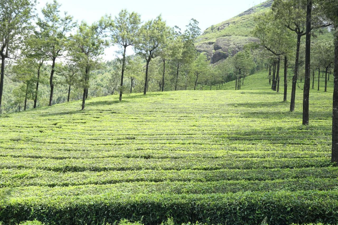 Apartament Mistica Munnar Anachal Zewnętrze zdjęcie